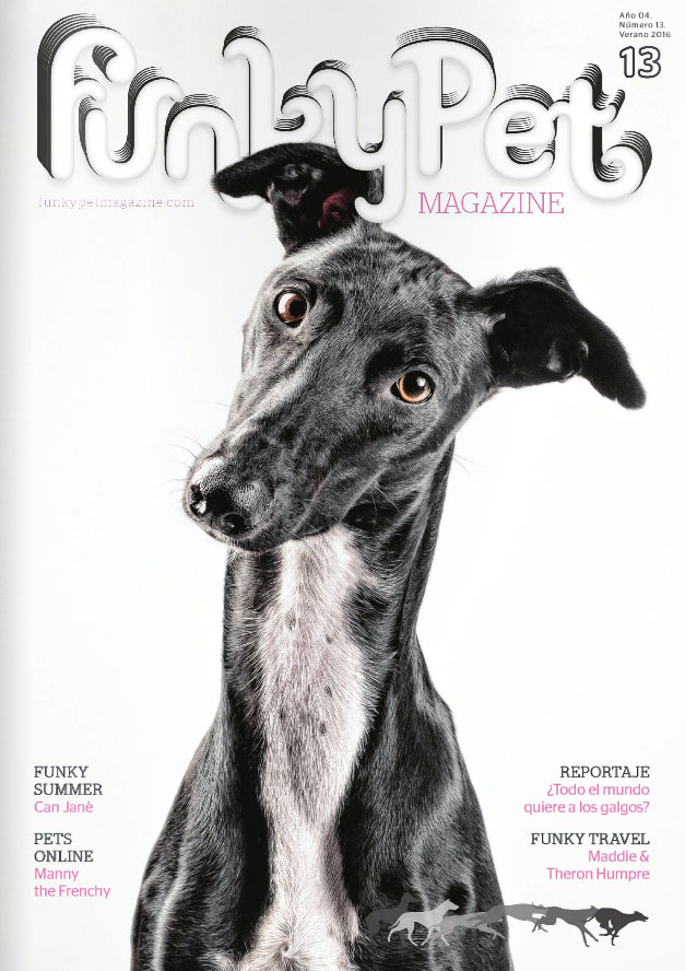 galgo-español-de-revista-portada-funkypet-magazine